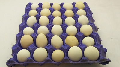 طبق بيض بلدي 30 قطعه