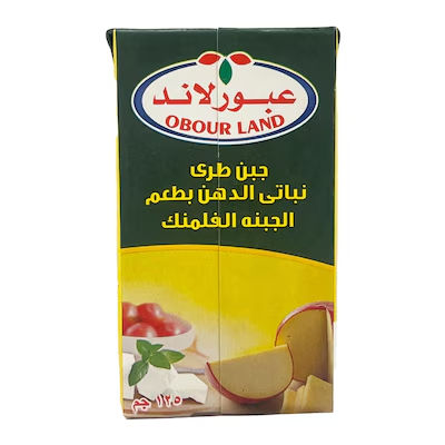 عبور لاند جبن فلمنك 125 جم