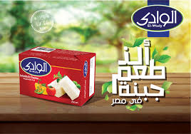 الوادي جبن طري فيتا 250جم